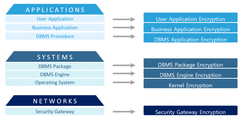 D'Amo Overview 2020 (2)