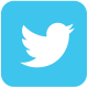 twitter button