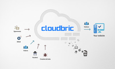 cloudbric website protection