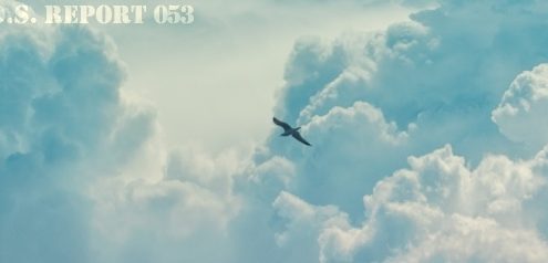 2017-07-21-1500597132-9864308-53_00-thumb