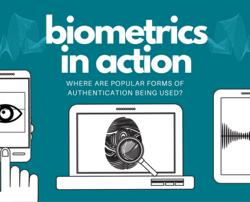 biometrics in action