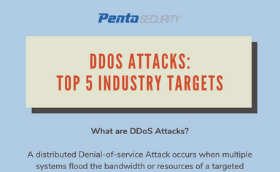 DDoS Attacks