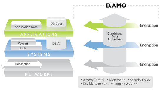 damo_structure