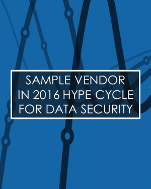 format preserving encryption data security sample vendor