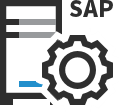 icon-sap-erp-security