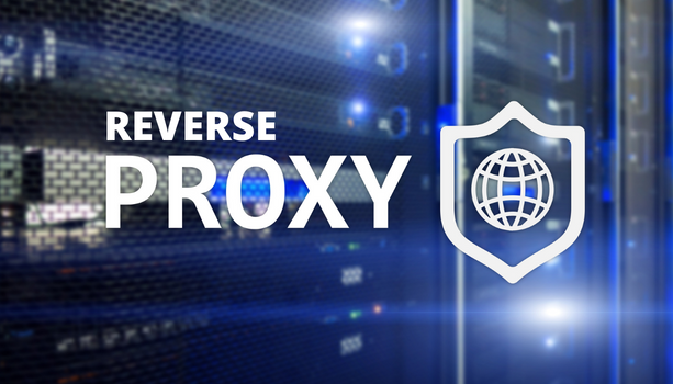 reverse proxy