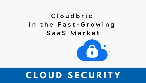 Cloudbric in the Fast-Growing SaaS(SECaaS) Market